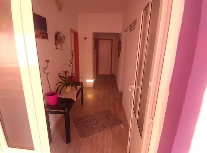 Ivo&lenda * Jelsa (Hvar)